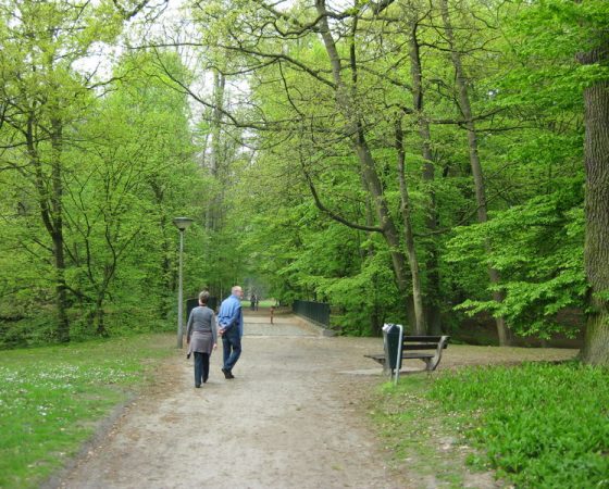 Hoge bomen Heizen Mariakerke